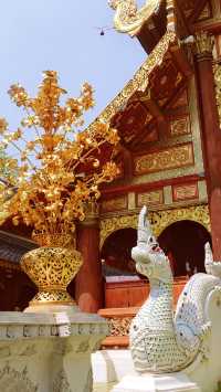 Chiang Mai's largest meditation center, a place where you can truly calm down.