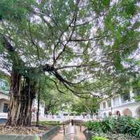 Tsim Sha Tsui's Best Spots | 6 Recommended British Retro Style Check-ins in Hong Kong