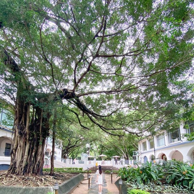 Tsim Sha Tsui's Best Spots | 6 Recommended British Retro Style Check-ins in Hong Kong