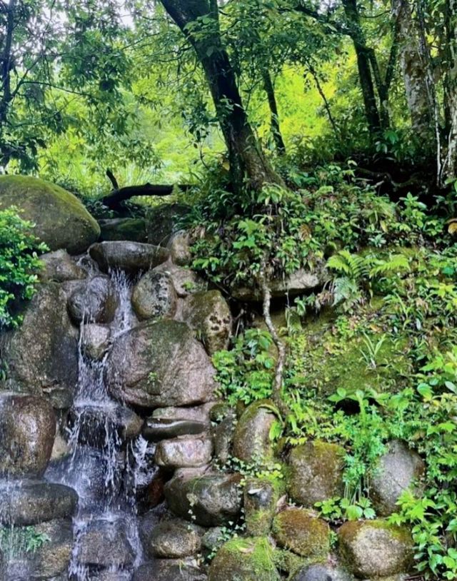 Shennong Valley National Forest Park