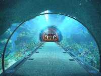 Awe-Inspiring Aquatic Wonderland 🇦🇪