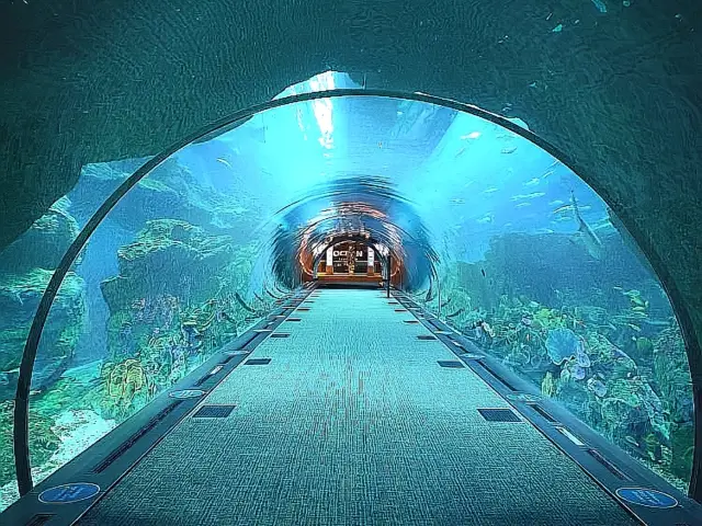 Awe-Inspiring Aquatic Wonderland 🇦🇪