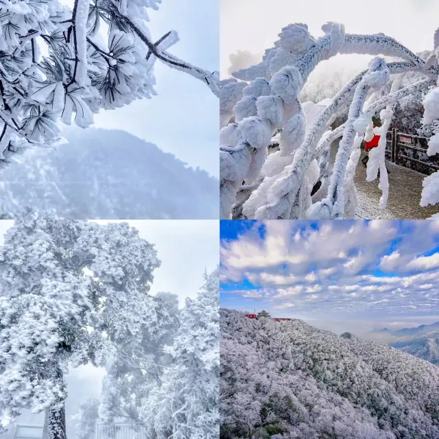 登る必要のない雪山！広深から1