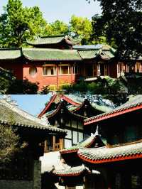 成都1h 超愛這條高鐵公交可達的古林步道