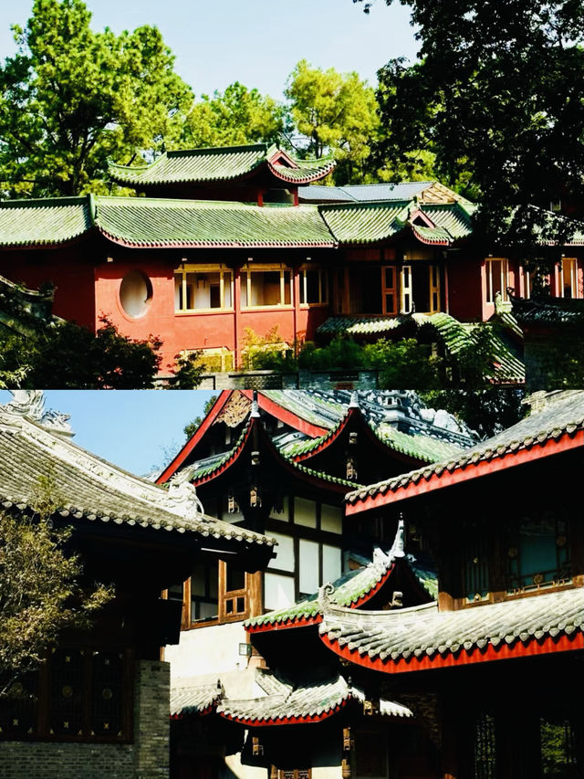 成都1h 超愛這條高鐵公交可達的古林步道