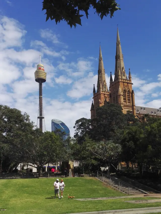 Australia: Sydney Tower/St Mary's Cathedral