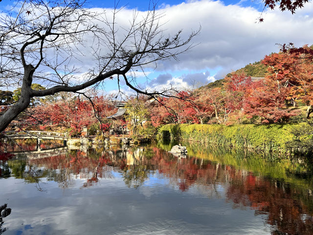 京都慢遊記