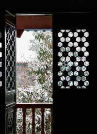 在合肥,總要去開福寺看一場初雪吧