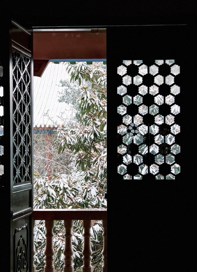 在合肥,總要去開福寺看一場初雪吧 在合肥,總要去開福寺看一場初雪吧