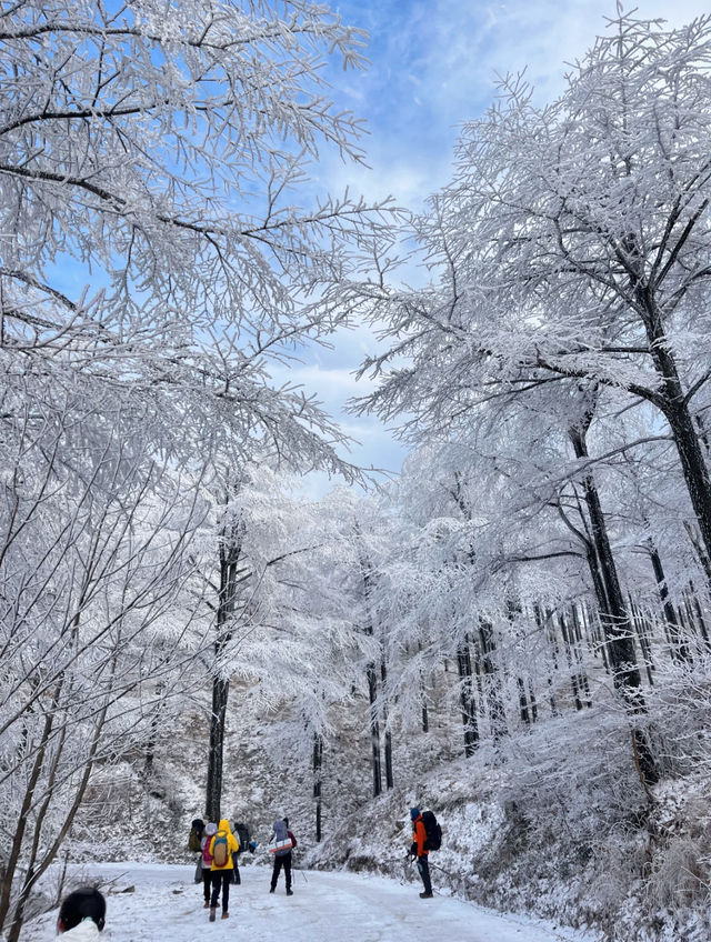 四明山下雪啦這條賞雪自駕路線快碼住