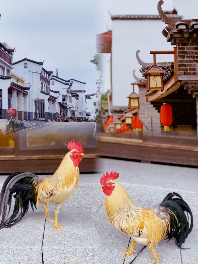 廣西柳州丹洲島探尋古鎮的魅力這裡有著悠久的歷史豐富的文化民俗