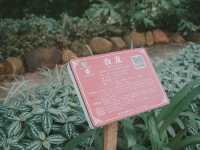 世界最大的藥用植物園!原來就在廣西!