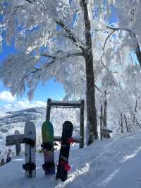 秘境藏王山：探尋複雜路線中的絕美之旅！