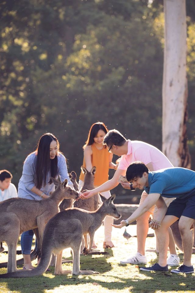 《紐約時報》全球最佳旅行地，澳洲兩地榜上有名！