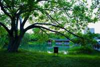四川成都｜南郊公園｜逛城市中的桃花源