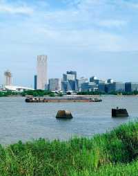 在西岸，看黃浦江兩岸現代新貌