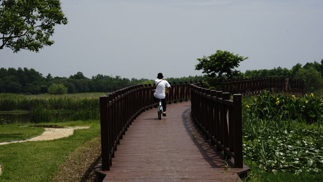 靜聽風鳴～崇明東灘濕地公園