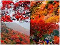 泼染山紅景色好，不是香山勝香山"石門坊