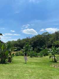 廈門園林植物園｜十月國慶小眾旅遊絕佳好去處