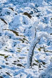 廣州周邊看雪聖地，雲端賞冰雪霧凇奇觀