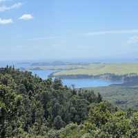 Dormant volcanoes and city views in Auckland!