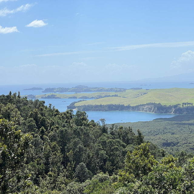 Dormant volcanoes and city views in Auckland!