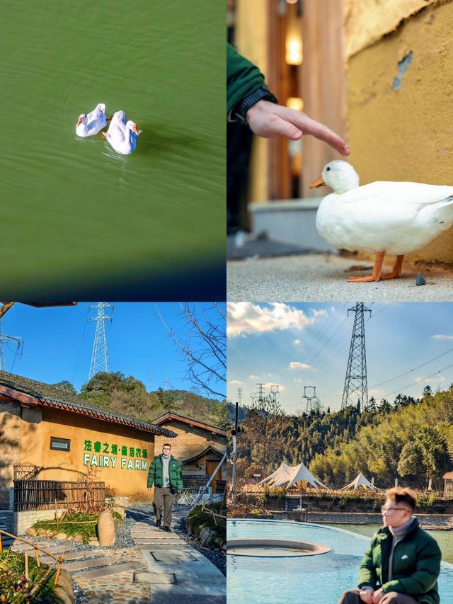 只有4棟水上森林湯池民宿居然佔地230畝