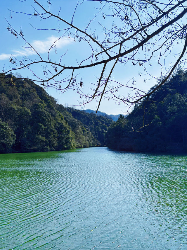 徒步芜湖南陵縣·小格裡森林公園×霭裡村