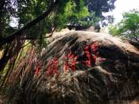 屿見廈門，遇見美好