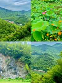 湖州安吉，一日旅遊踩坑記