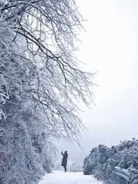 益陽也藏著自己的"長白山"