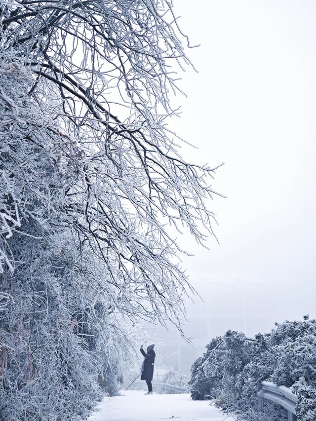 益陽也藏著自己的"長白山"