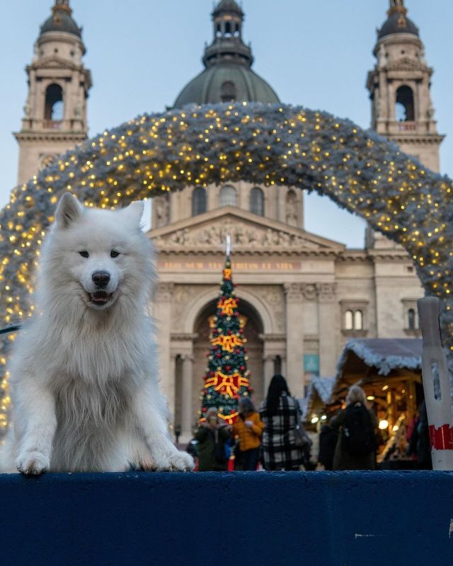 Christmas in Budapest 🇭🇺😍 Their Christmas market is sooo beautiful 🎄