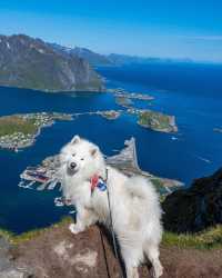 😝🫶 Unleashing the Adventure! Epic Hiking in Reinebringen, Norway 🏔️🌲