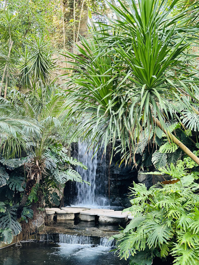 上海植物園溫室展