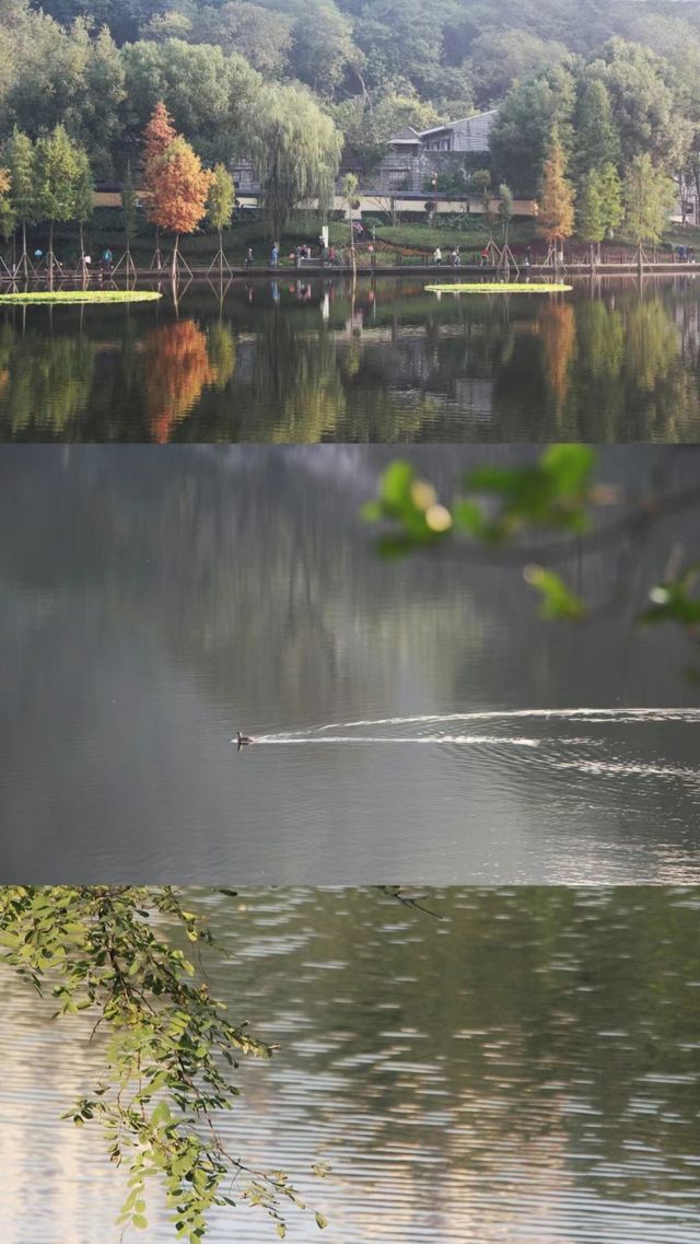 彩雲湖公園 感受綠野仙蹤般的浪漫