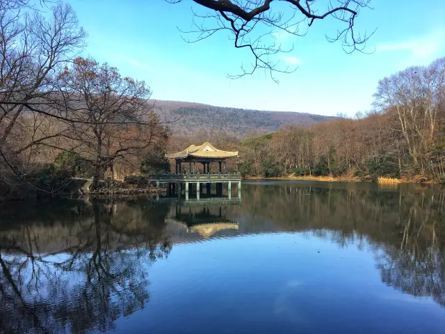 南京春日騎行—金色鍾山