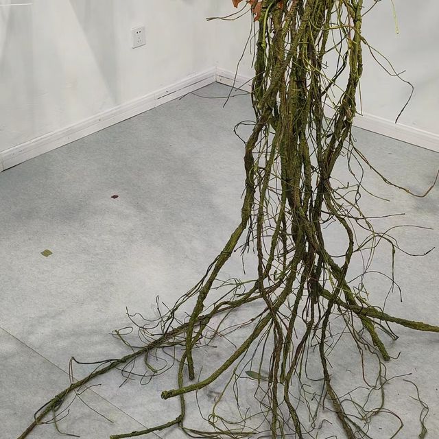 成都免費看展還有兩天我們去拍照吧