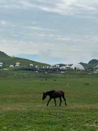 去不了新疆就去湘西的八面山吧