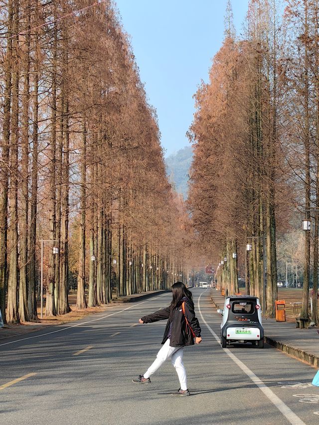 大學生特種兵旅遊報團省錢啦