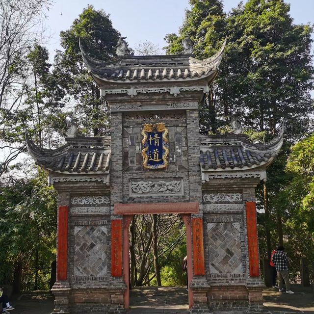 成都人賞花熱門之地