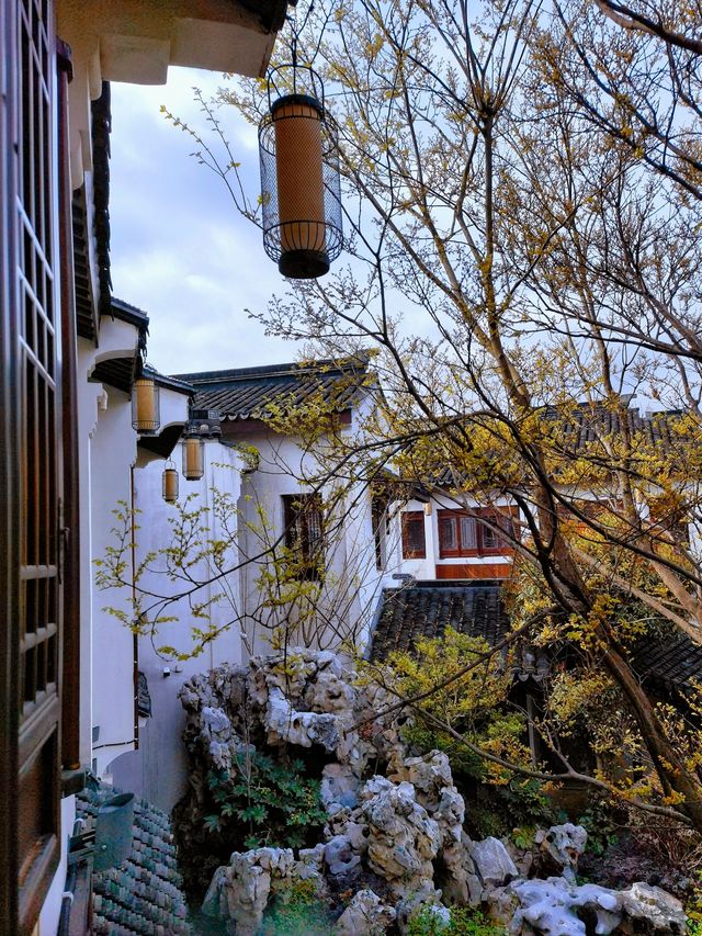 一鎮一島一酒店，巡塘書香，隱於古鎮，逸於書香