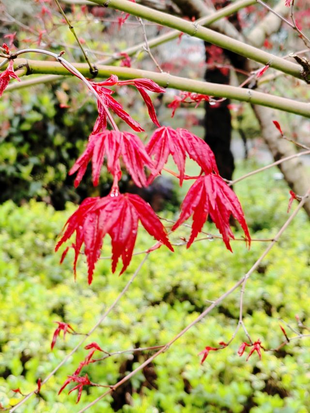 徐州滨湖公園