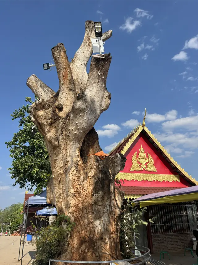 般若寺