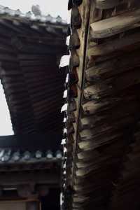 人間彌勒,寧波雪竇寺