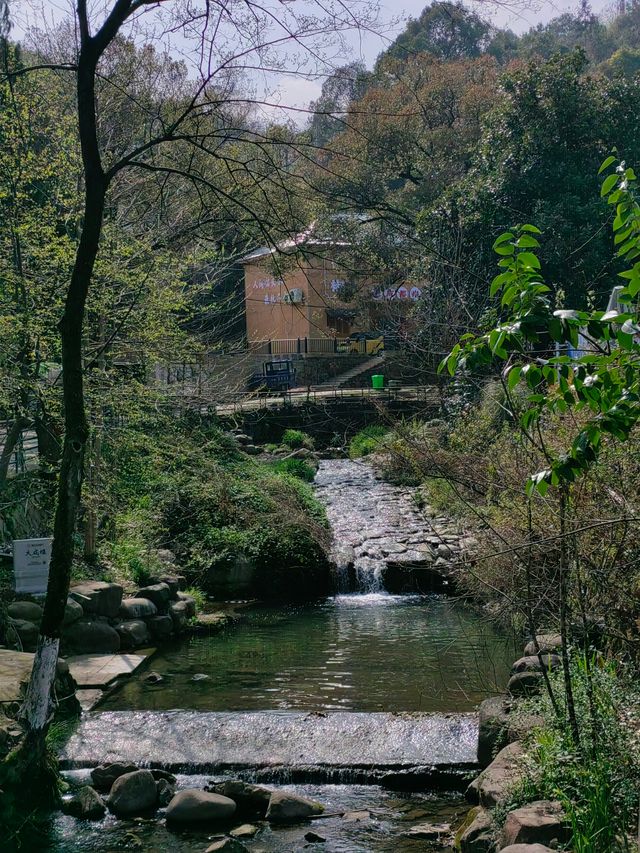 春日的莫干山，逍遙又自在