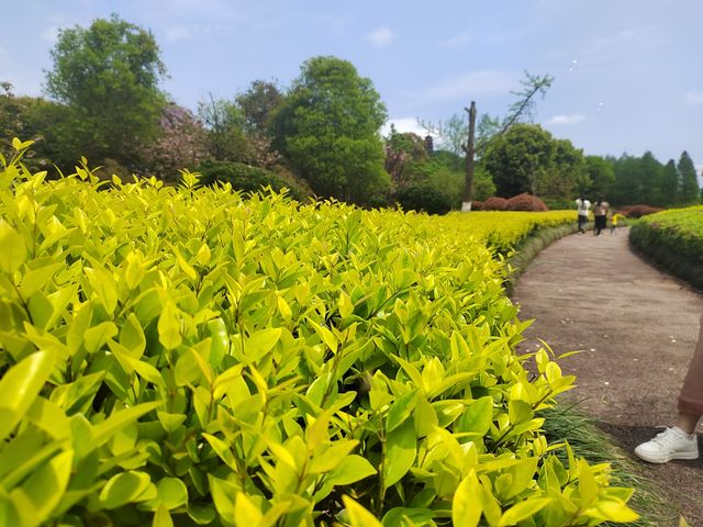 庐陵文化生態園