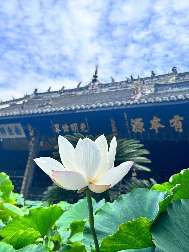 成都的浪漫，必須得是望叢祠給的