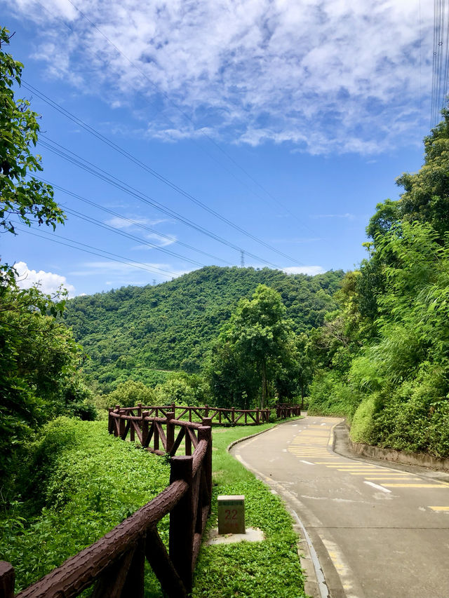 銀湖山郊野公園