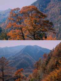 浙江寧波天童寺｜山間走禪，見性見佛